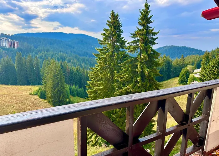 View Апартаменты *