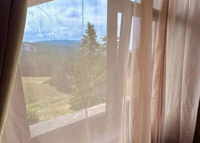 Апартаменты View Чепеларе